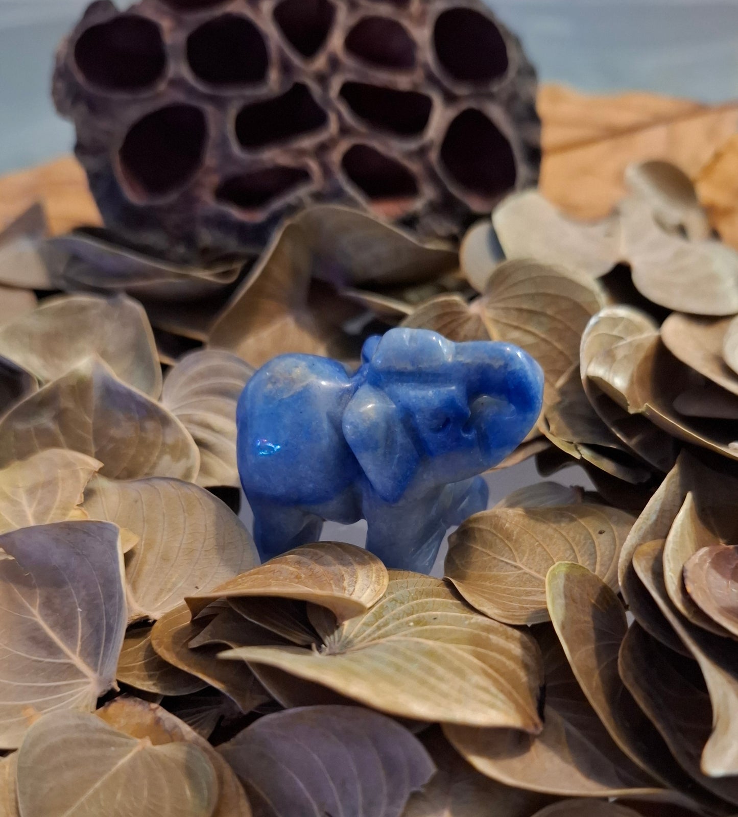 Eléphant 40mm Aventurine Bleue