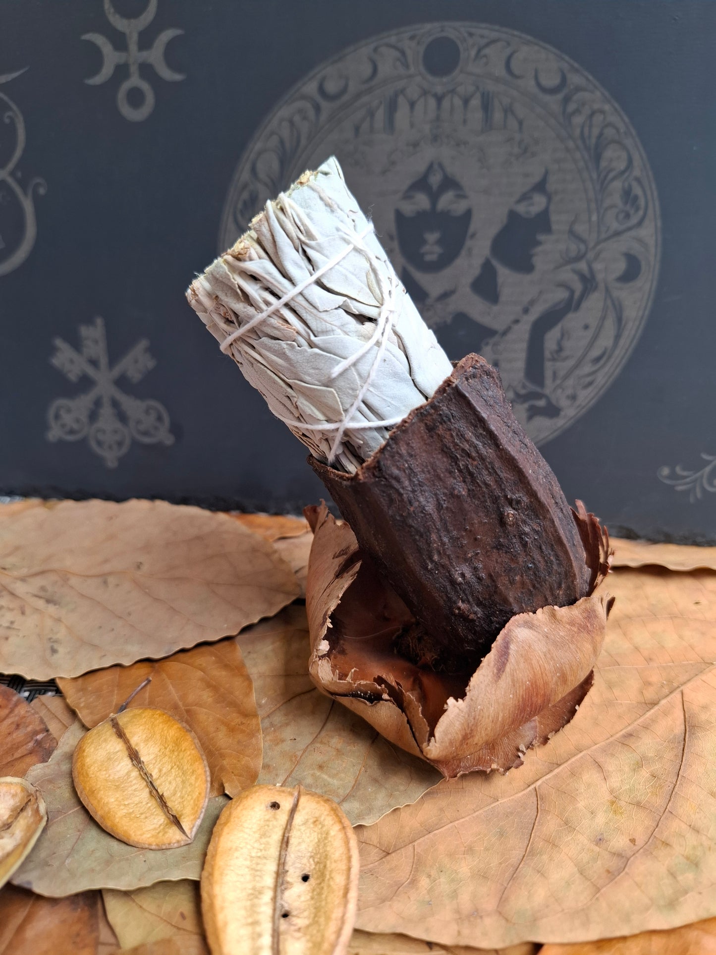 Bâton de sauge blanche