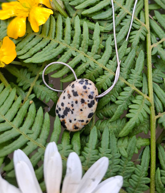 ⚪⚫ Jaspe Dalmatien – Joie ancrée et protection légère