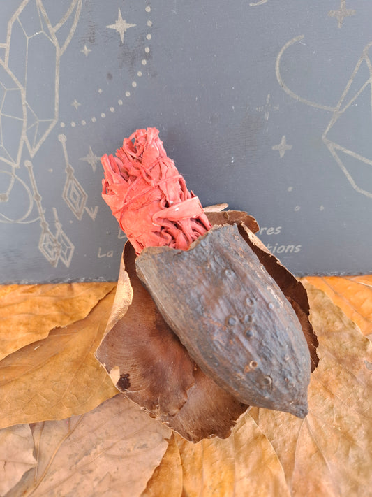 Bâton de sauge blanche avec poudre d'encens rouge