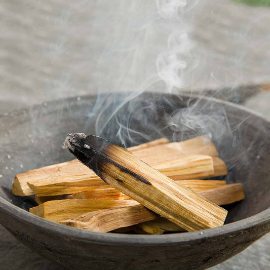 Palo Santo du Pérou