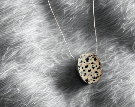⚪⚫ Jaspe Dalmatien – Joie ancrée et protection légère